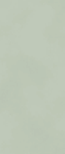 Boost Color Mint Matt 50x120 - фото 1