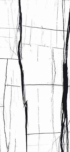 Sahara Noir White Full Lappato 60x120 - фото 1