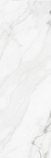 Insignia White Mate - 221652 31.6x100 - фото 1