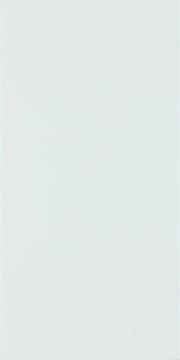 Fiori Blue Sciana 30x60 - фото 1