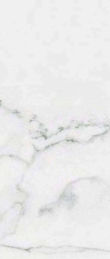 CityMarble Статуарио Венато 60x120 - фото 1
