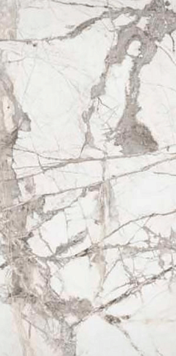 Premium Marble Ice Burg Pol. 60x120 - фото 1