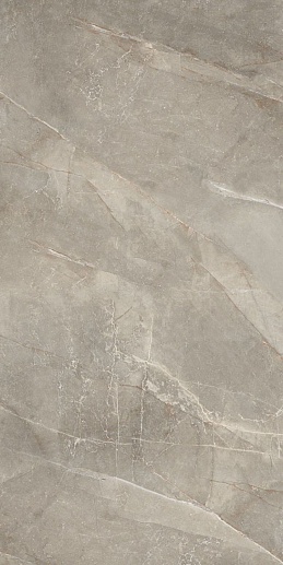 Island Taupe 60x120 - фото 1