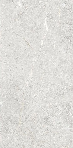 Una Pietra Nordix Silver Glossy 60x120 - фото 1