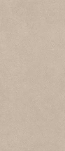 Boost Natural Ash 50x120 - фото 1