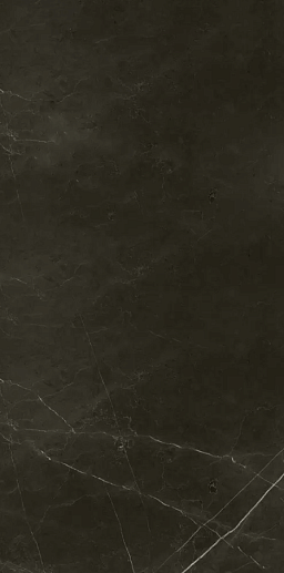 Anima Dark Emperador Rett Lucidato 30x60 - фото 1