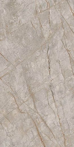 Empire Silver Root 80x160 - фото 1