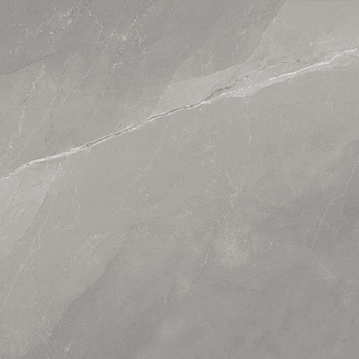 Myas Grey 60x60 - фото 1