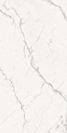 Armonia Silver Full Lappato 60x120 - фото 1