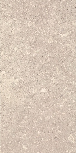 Aragorn Light Grys 30x60 - фото 1