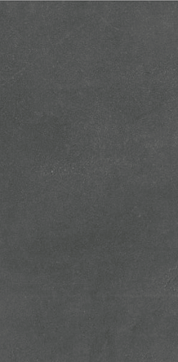 Evoque Coal 29.9x60 - фото 1