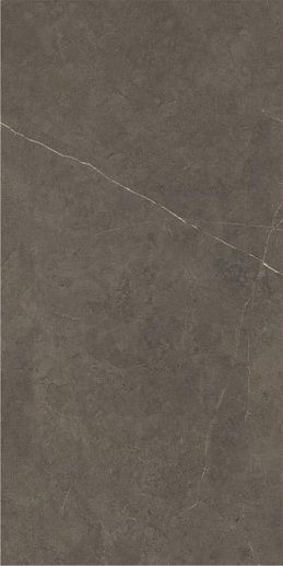 Northon P.E Pul Rect Taupe 59x119 - фото 1
