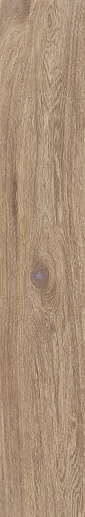 Wood Love Brown Rekt. Struktura Mat 19.8x119.8 - фото 1