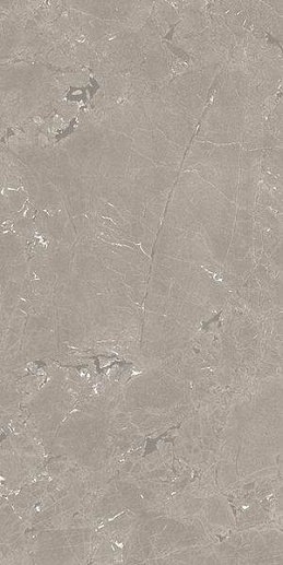 Neeko Taupe 60x120 - фото 1