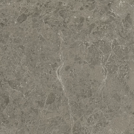 Marvel Meraviglia Grigio Elegante Matt. 60x60 - фото 1