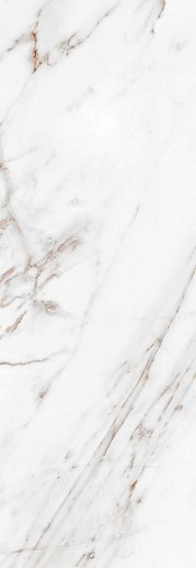 Calacatta Grey 509121101 24.2x70 - фото 1