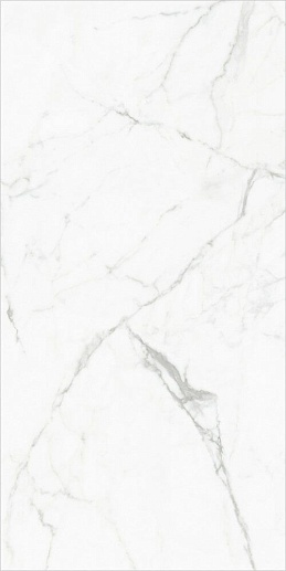 Elegant Statuario Белый 60x120 - фото 1