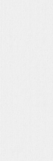 Rigato Neve 100x300 - фото 1