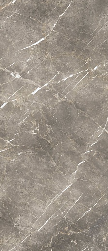 Eclectic Persian Grey 60x120 - фото 1