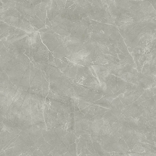 Wolf Grey Сатинированный 80x80 - фото 1