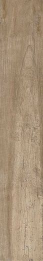 Antique Clay Ret 20x120 - фото 1
