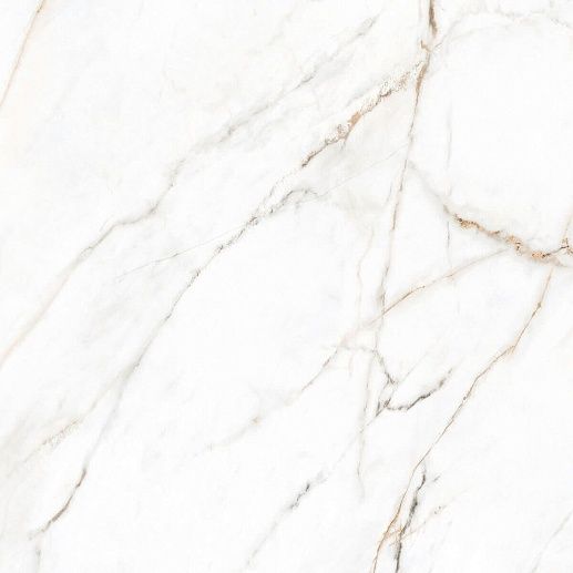 Cr.Torano Dorado Polished 60x60 - фото 1