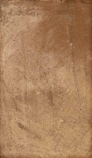 Cotto Nat 30x50 - фото 1