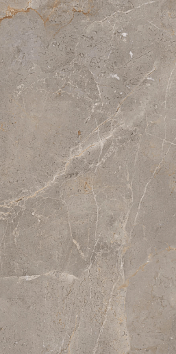 Augustus Brown Natural rect 60x120 - фото 1