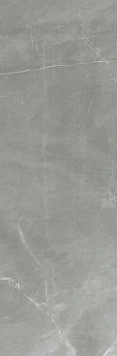 Timeless Amani Grey Luc 80x240 Ret - фото 1