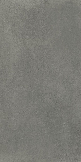 Evo Grey 60x120 - фото 1