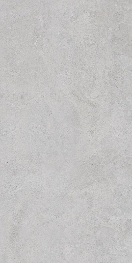 StoneSystem Боргония Клауд Серый Матовый 60x120 - фото 1