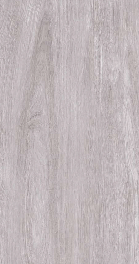 Florida Light Grey 60x120 - фото 1