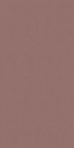Wide&Style Mini Paprika Ret 60x120 - фото 1