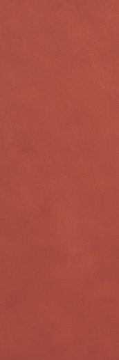 Color Line Marsala 25x75 - фото 1