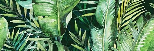 Braga Tropic B Rect 25x75 - фото 1