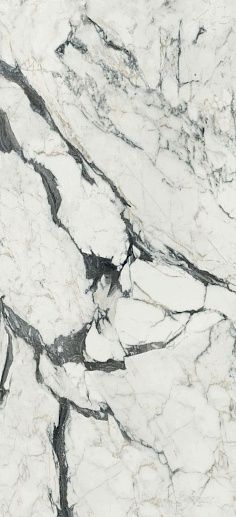 Les Bijoux de Rex Calacatta Altissimo B Glossy 60x120 - фото 1