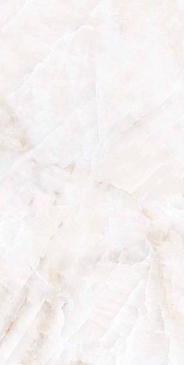 Birch Onyx 60x120 - фото 1