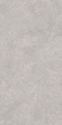 Lightstone Grey 59.8x119.8 - фото 1