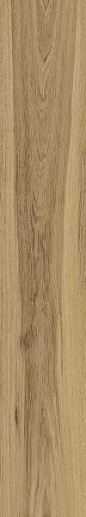 Rive Acqua Riva Ret 20x120 - фото 1