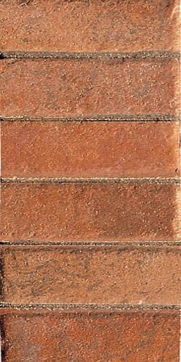 Petraia Freccia Ret. Cotto 12.5x25 - фото 1