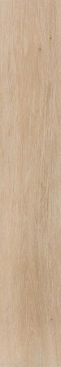 Viggo Arce 20x120 - фото 1