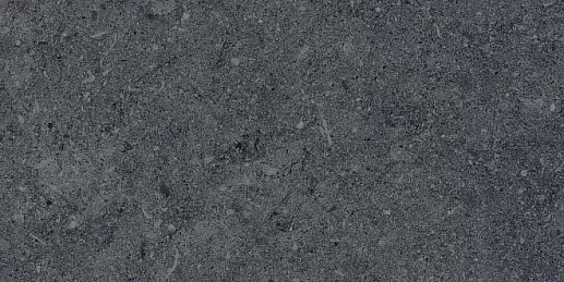 DL200800R20 Роверелла серый тёмный обрезной 30х60 - фото 1