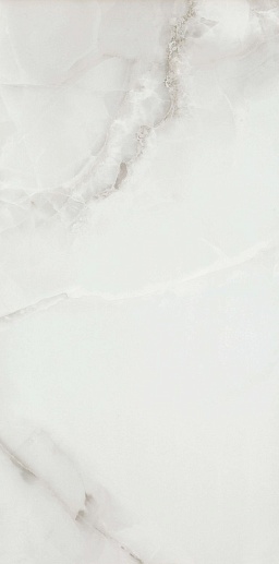 Es Fenix Gris 60x120 - фото 1