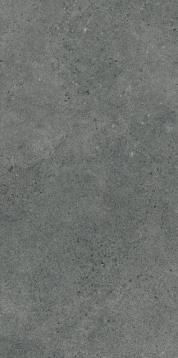 Authority Graphite 60x120 - фото 1