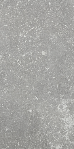 Di Pietra Ardenne Grigio 20x40 - фото 1