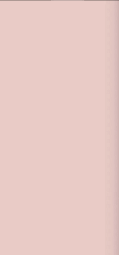 Art Deco Vector Frame C Light Pink 12.5x25 - фото 1
