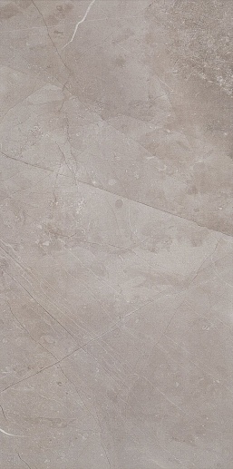 Muse W Muse Silver 29.8x59.8 - фото 1