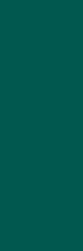 Botanica Emerald Forest Rett 25x75 - фото 1