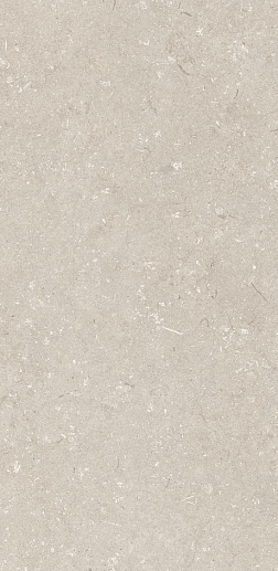 Shellstone Beige 60x120 - фото 1