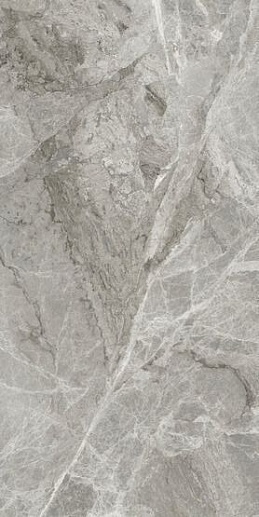 Silver Grey Matt 60x120 - фото 1